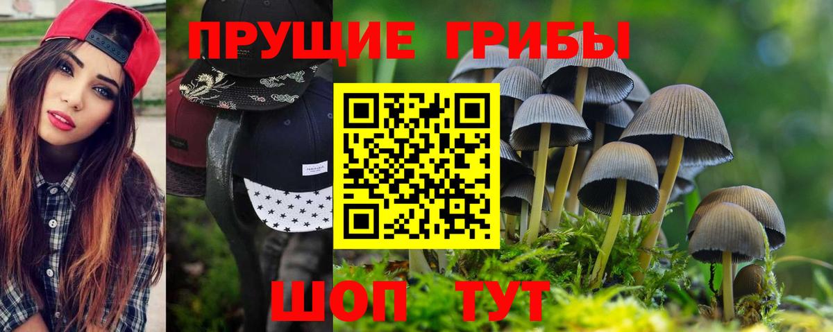 Псилоцибиновые грибы Magic Shrooms Тихорецк