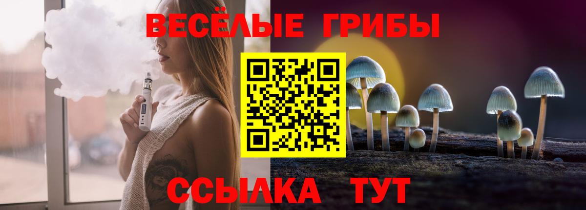 Псилоцибиновые грибы прущие грибы  Вход с VPN  купить  цена  Тихорецк  Галлюциногенные грибы Cubensis 